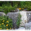 카톨릭병원 이미지