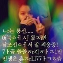 하누 - 서초구 강남대로79길 43 | 하누