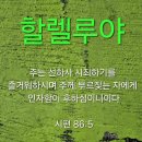 선하사 이미지
