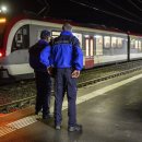스위스 경찰, 열차에서 도끼 휘두르는 이민자인질범 사살 이미지