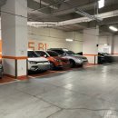 너가 좋아한 꽃족발 이미지