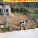 대호농장 이미지