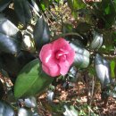 한옥마을로(남) 이미지