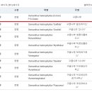 향기나무 이미지