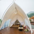 클럽프리모 이미지