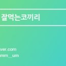 활구팔구