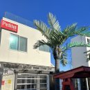 젤리엘, 쁘띠엘 이미지