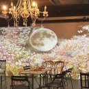 솔로아트 | 와인파티 솔로파티 어바웃와인 잠실 내돈내산 후기