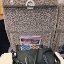 한국 고대사 특급열차 | 일본 오사카 간사이공항 난카이 라피트 특급열차 탑승 후기