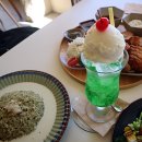 고향연화 이미지