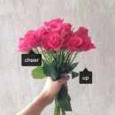 사진고
