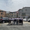 느티나무 이미지