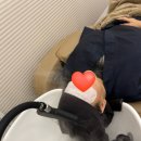 펠로살롱 이미지