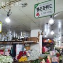 남산동꽃집 청춘꽃밴드 마음이 피어나는 곳!