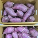 꿀고구마(베니하루까)판매 이미지