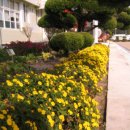 축산항초등학교 이미지