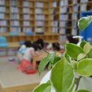 성남면작은도서관 이미지