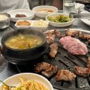 왔다뒷통 이미지