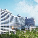 강릉멍릉도원애견펜션 이미지