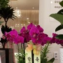 함성원치과의원 이미지