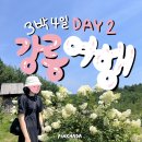 샹떼PC방 강릉대학로점 | [3박 4일 강릉여행-2] 🐍목숨걸고 보아뱀이랑 사진찍은 날 (뒷뜨루, 회산장칼국수, 카페 기와, 애니멀...