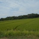 장전천1 이미지