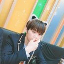 리노 이미지
