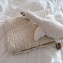 인형# | 블랑가또 오리 애착인형 사용후기