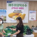 제주도청 이미지