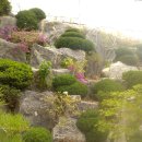 명호민박 이미지