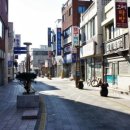 봉황로 문화의 거리 이미지