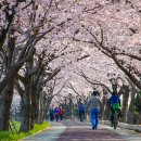 부산김해경전철 덕두역 이미지