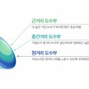 하나로안경콘텍트