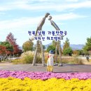 지리산나들이농원 | 전북 남원 가볼만한곳 지리산 허브밸리 실내 온실 키즈존