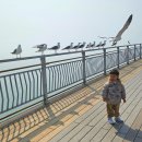 랜드마크시티1호체육공원-3 | [인천] 송도 주민 추천, 공원 산책코스 TOP 8