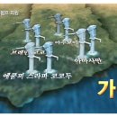 국제자판기