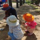 오음초등학교 이미지