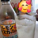 산토리 특제 레몬 스쿼시 탄삼음료 500ml 24개세트 후기