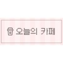 카페로투스 이미지