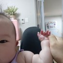 새나네