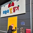피어하우스하늘(PEERHAUS) | 화성 팔탄 유아초등 딸기체험농장 하늘의별딸기