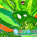 수정샘 이미지