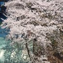 (주)성신씨엔엠 다이소점 | 벌써 4월 이라니...