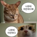호뉴투어