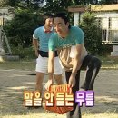 백수농협앞게시대 | 지난 주보단 재밌었네...잘 먹고 잘 놀았던 백수 9월 2주 일상