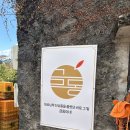 강정동-28 | 제주도“금동이네 감귤체험”후기 제주도 감귤체험추천 제주도 서귀포 감귤체험