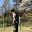 이조은마트