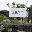 네모2 | 제주 서귀포 독채펜션 첫날 숙소로 선택한 네모펜션