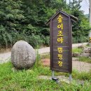 경북 문경 트레일러 반려견 물놀이 가능한 숲이조아 오토 캠핑장 추천