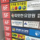 진짜 진짜 너무너무 좋은 완벽한 도래울 스터디 카페 &#39;오름&#39;